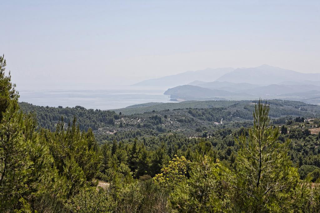 Thalatta Seaside Hotel Agia Anna  Esterno foto